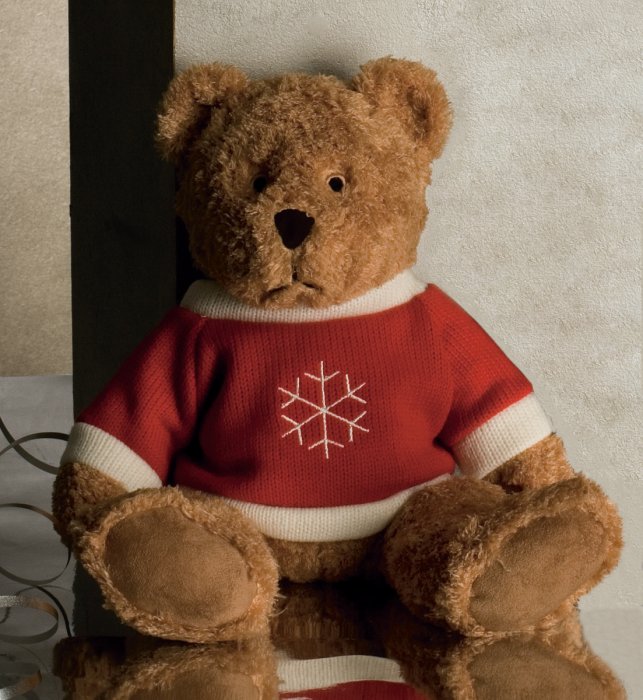 Spencer Bear