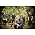 Vignette de Kutless