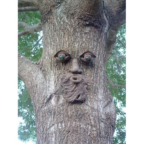 Tree Face Art