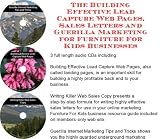 Books on Wooden House item: The Guerilla Marketing, Building Effective Lead Capture Web Pages, Sales Letters for Wooden Furniture Businesses