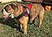 HDP Big Dog Soft No Pull Harness Size:XLarge Color:Black