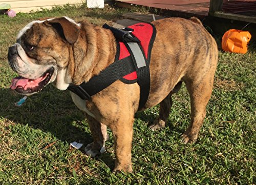 HDP Big Dog Soft No Pull Harness Size:XLarge Color:Black