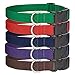 Country Brook Petz 6 - Medium Economy Polypropylene Dog Collars