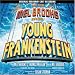 Young Frankenstein: The New Mel Brooks Musical