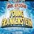 Young Frankenstein: The New Mel Brooks Musical