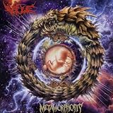 Metamorphosis