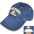 Lake Superior Lakers Hockey Zephyr Chopper Cap