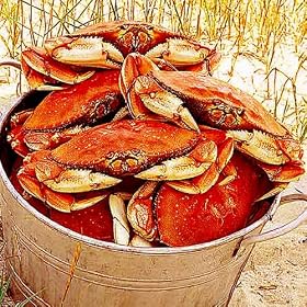 Whole Dungeness Crab