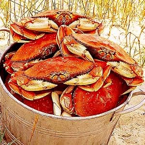 4 Whole Dungeness Crabs by Lobster Gram