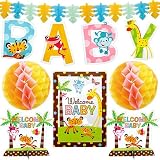 Amscan 200411 Fisher Price Baby Shower Decorating Kit