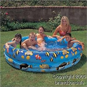 Kid's Inflatable Aquarium Fish Kiddie Swimming Pool by Calsplash