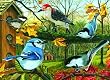 Backyard Feeder (1,000 Piece Puzzle)
