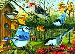 Backyard Feeder (1,000 Piece Puzzle)