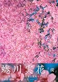 桜 画像