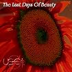 The Last Days of Beauty