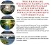 The Rich Man's How To Earn Extra Money, Marketing and Success Principles for Wall Murals On-line Businesses 3 CD Power Pack