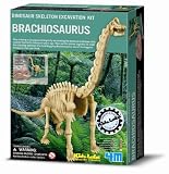 Dam - 4M - 5603237 - Construction et Maquette - Animaux - Kidzlabs - deterre-Ton-Dinosaure - Brachiosaurus