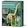 Dam - 4M - 5603237 - Construction et Maquette - Animaux - Kidzlabs - deterre-Ton-Dinosaure - Brachiosaurus