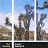Image of album by Tom Heasley