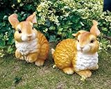 森のうさぎ　　2個セット