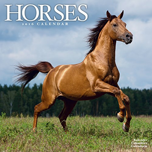 Horses Calendar - 2016 Wall calendars - Animal Calendar - Monthly Wall Calendar by Avonside