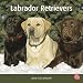 labrador43 - Labrador Retrievers 2010 Square Wall Multilingual Edition