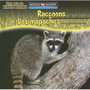 animales nocturnos