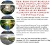 The Best How To Earn Extra Money, Success Principles and Biz Networking for Work For Stay At Home Parents Businesses 3 CD Power Pack