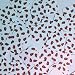 Square Diamond Sequin 1.5