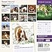 Basset Hound 18 Month 2016 Traditional Wall Calendar