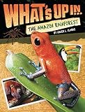 What's Up in the Amazon Rainforest