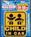 Child In Car Sign - Magnet type of safety sign for your kids on board car sign. (Made...