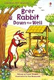 Brer Rabbit down the well