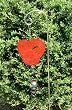 Spiro Hummingbird Wind Spinner with Shepherds Hook