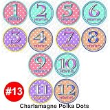 CHARLAMAGNE Baby Month Onesie Stickers Baby Shower Gift Photo Shower Stickers, baby shower gift by OnesieStickers