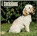 Cockapoos 2015 Calendar