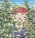 The Weed Whisperer: A Doonesbury Book (Volume 36)