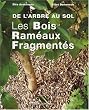 Les Bois Ram�aux Fragment�s : De l'arbre au sol
