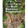 Les Bois Ram�aux Fragment�s : De l'arbre au sol