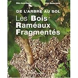 Les Bois Ram�aux Fragment�s : De l'arbre au solpar Gilles Domenech