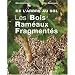 Les Bois Ram�aux Fragment�s : De l'arbre au sol