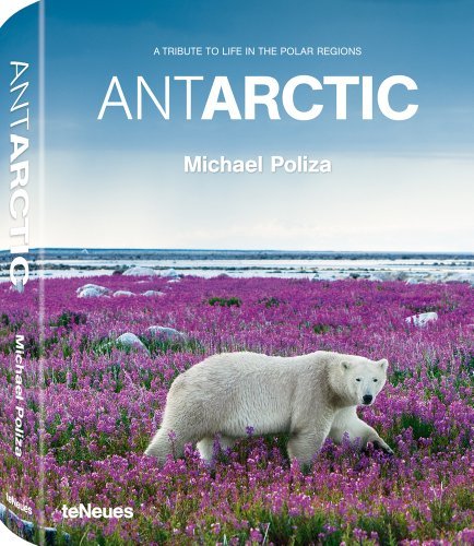 Antarctic: A Tribute to Life in the Polar Regions [Hardcover]