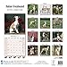 Italian Greyhound Calendar - Breed Specific Italian Greyhound Calendar - 2016 Wall calendars - Dog Calendars - Monthly Wall Calendar by Avonside