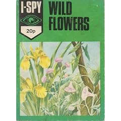 I-Spy Wild Flowers