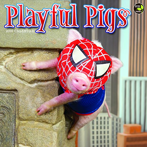 2016 Playful Pigs Wall Calendar