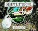 Books : Sleepy Little Owl