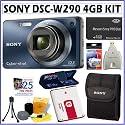 Sony Cyber-shot DSC-W290/L 12.1 MP Digital Camera in Blue + Sony Digital Camera Case + 4 GB Mmeory Stick + Deluxe Accessory Kit