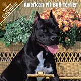 2008 American Pit Bull Terrier 2008 16 Month Wall Calendar **IN STOCK NOW**