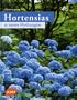 Hortensias et autres Hydrang�as