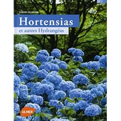 Hortensias et autres Hydrang�as